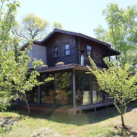 Vila House With Backyard And Winter Garden In Agva Geredeli Exteriér fotografie