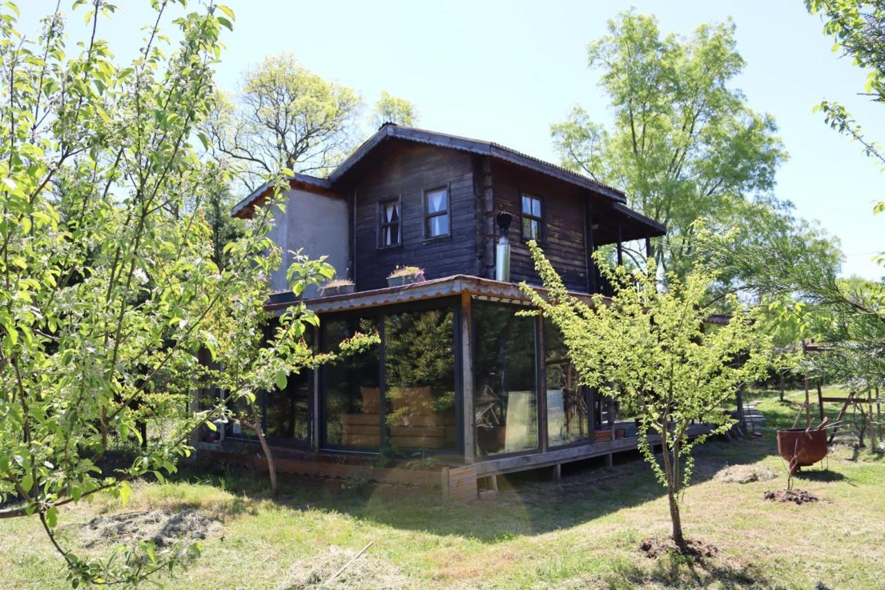 Vila House With Backyard And Winter Garden In Agva Geredeli Exteriér fotografie